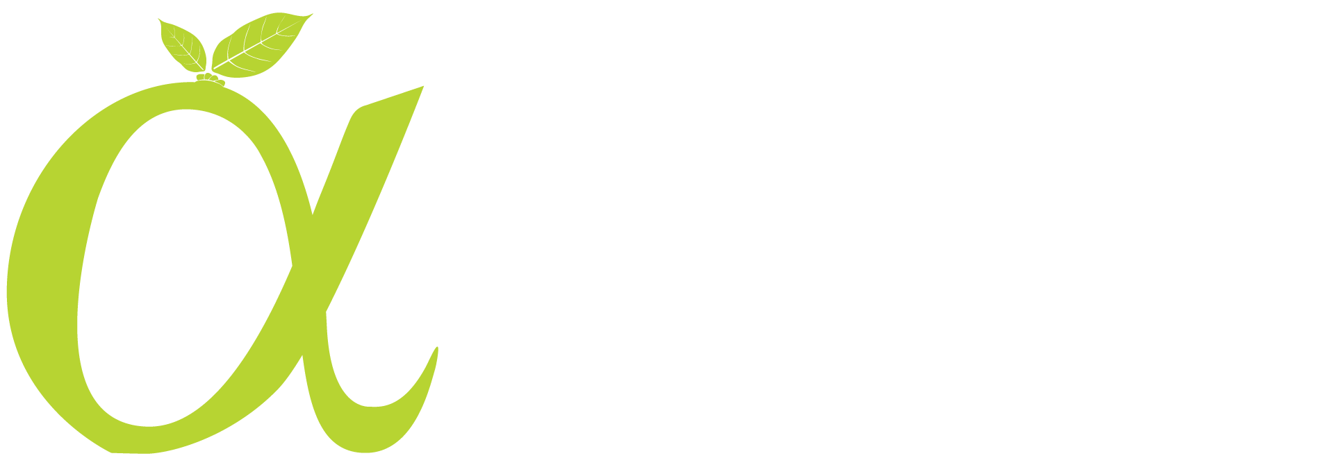 Branding · Marketing · Web | by Amadeu Gualter